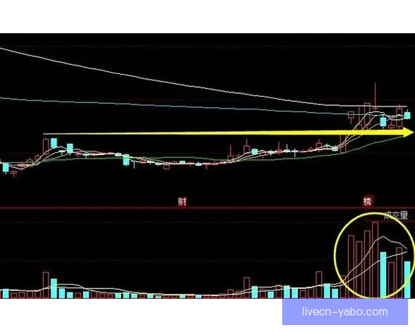 2026世界杯最新盘口分析与赛前胜负走势全解析
