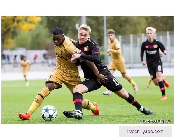 足球竞猜预测精准攻略揭晓全方位分析助你轻松把握比赛比分走势