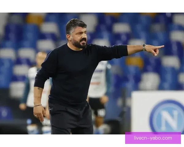 意大利足协发布公告加图索正式卸任国家队主教练