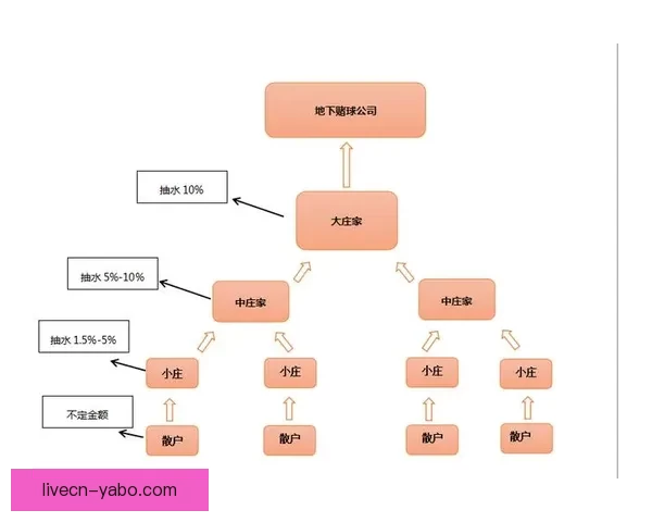 2026世界杯最新盘口分析与赛前胜负走势全解析