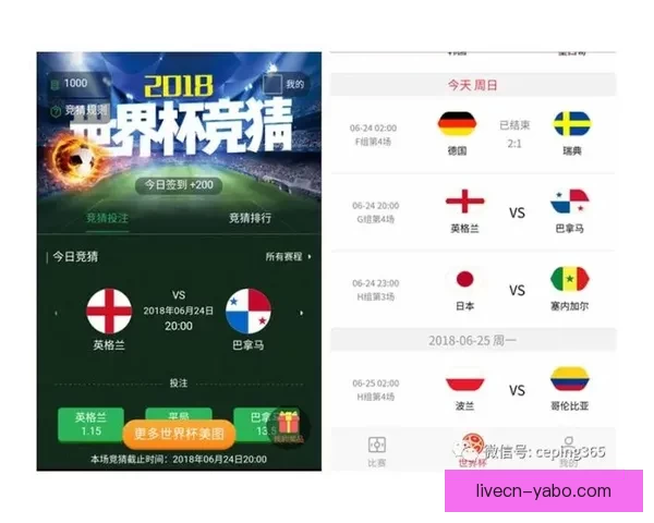 世界杯竞猜稳定平台推荐，专业分析助你精准投注赢大奖