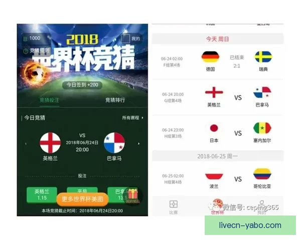 世界杯竞猜稳定平台推荐，专业分析助你精准投注赢大奖