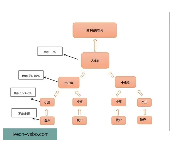 2026世界杯最新盘口分析与赛前胜负走势全解析